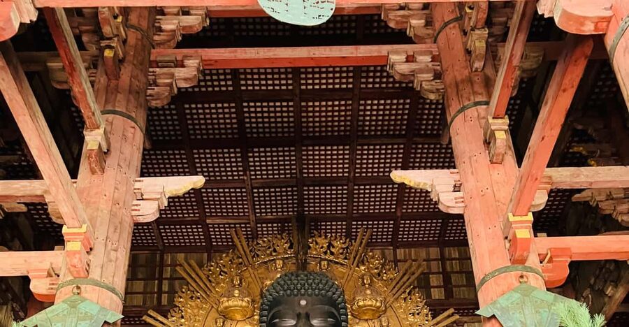 Private Nara Tour from Osaka – Meet at Your Hotel - How the 6 hours actually feel: pacing, timing, and where to focus