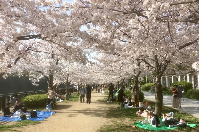 Private Osaka Tour with Hotel Meet Up - Key Things I’d Plan Around