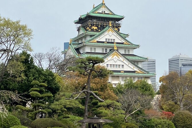Private Osaka Tour with Hotel Meet Up - Hotel Meet Up That Cuts Through Osaka Confusion