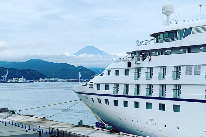 Private Sightseeing Tour from Shimizu Port / Sedan Taxi - Key highlights before you go