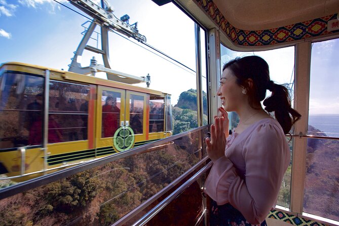 Private Sightseeing Tour from Shimizu Port / Sedan Taxi - Shimizu Port to the Nihondaira viewpoint belt