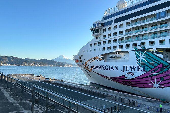 Private Sightseeing Tour from Shimizu Port / Sedan Taxi - Group size, timing, and the best way to avoid stress
