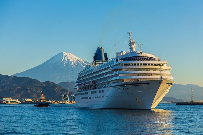 Private sightseeing tour from Shimizu Port / Van Taxi - Why this Shimizu Port to Fuji loop works so well