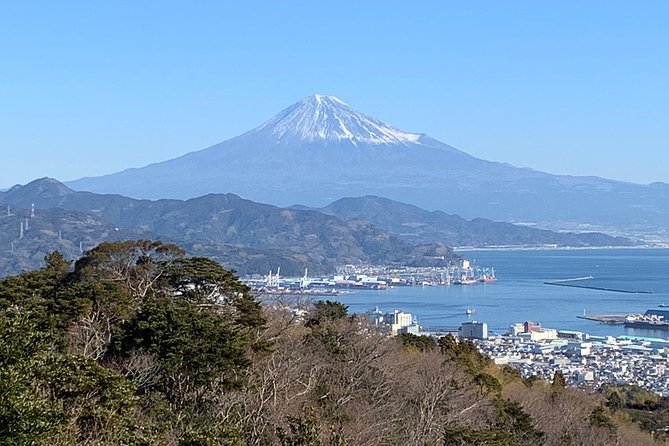 Private sightseeing tour from Shimizu Port / Van Taxi - Meeting at Shimizu Port and settling into a jumbo taxi