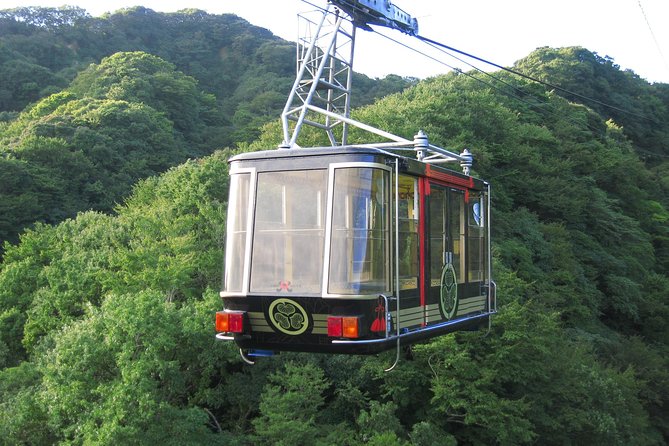Private sightseeing tour from Shimizu Port / Van Taxi - Nihondaira Ropeway: a quick ride with real rewards