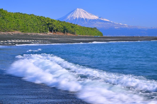Private sightseeing tour from Shimizu Port / Van Taxi - Observing Fuji from the 2018 observatory stop