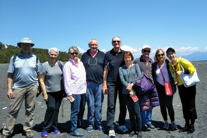 Private sightseeing tour from Shimizu Port / Van Taxi - Miho Pine Tree Grove, the beach, and the World Heritage Fuji angle