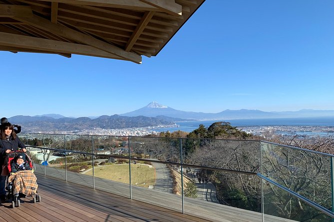 Private sightseeing tour from Shimizu Port / Van Taxi - Price and value, including the one thing you still pay