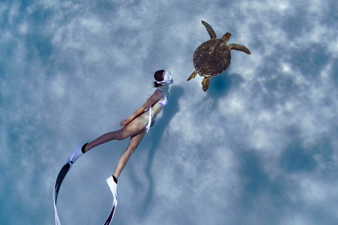 Private snorkeling tour Ishigaki island - Key highlights worth planning for