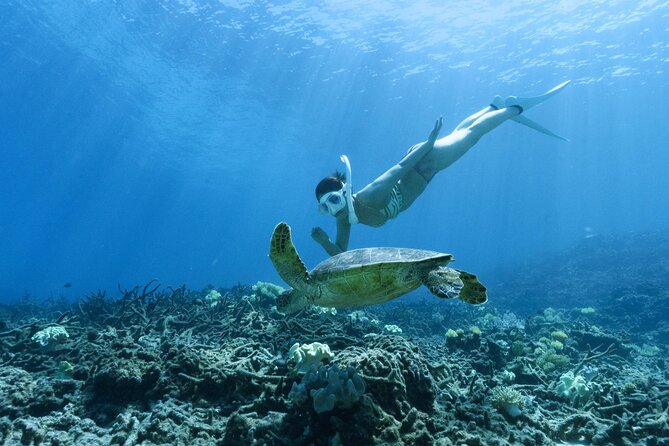 Private snorkeling tour Ishigaki island - Private snorkeling off Ishigaki, built around your pace
