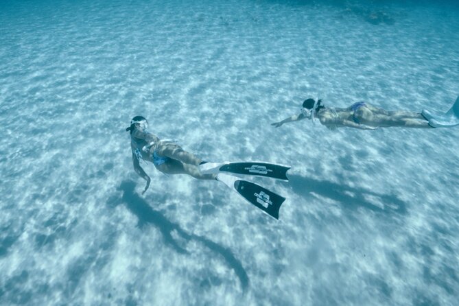 Private snorkeling tour Ishigaki island - GoPro photos, smoothie, and the small comforts that matter