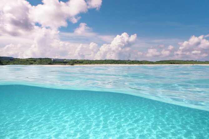 Private snorkeling tour Ishigaki island - Who this private tour fits best