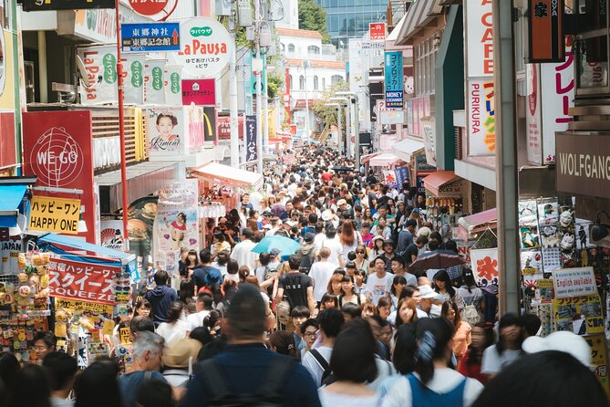 Private Tokyo Custom Full-Day Tour by Chartered Vehicle - How customization works in the real world