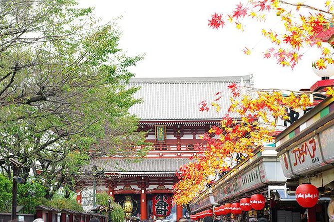 Private Tokyo Custom Full-Day Tour by Chartered Vehicle - Price, inclusivity, and what this day costs you per person