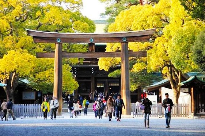 Private Tokyo Custom Half-Day Tour by Chartered Vehicle - Stop 1: Asakusa Sensoji and Nakamise street energy