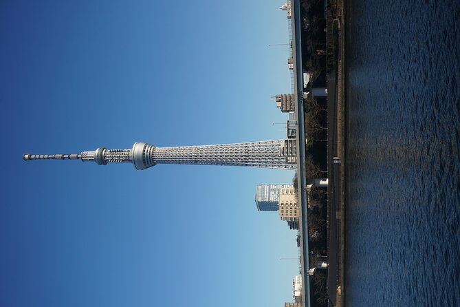 Private Tokyo Day-Tour by Car with English Speaking Guide. - Shibuya Sky: the skyline stop where tickets matter most