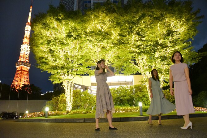 Private Tokyo Night Tour - The Route at Night, Stop by Stop