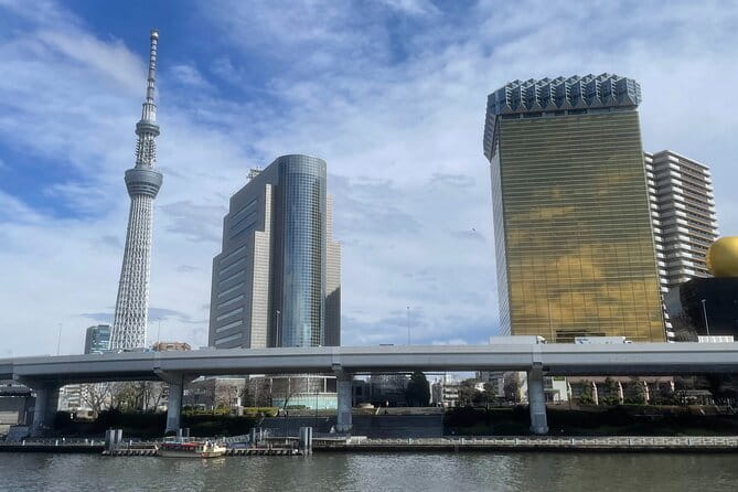 Private Tokyo Tour with Local Guide - A private Tokyo remix, built around your pace