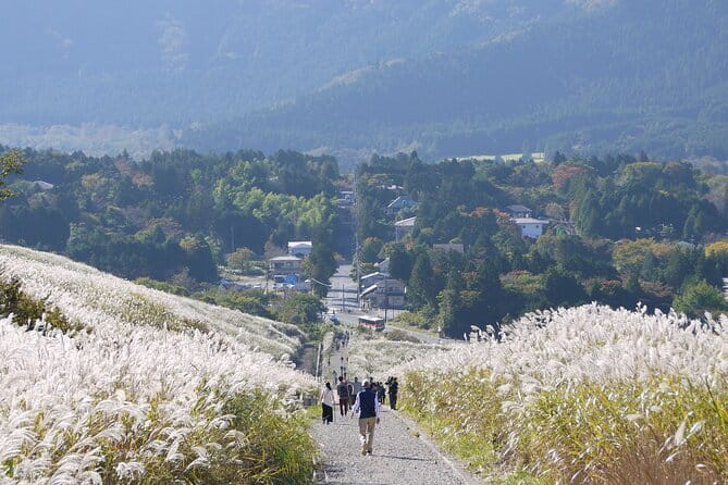 Private Tour - Hakone Day Trip! A Tour to Explore All Must-Sees! - Hakone Ropeway and Owakudani: the volcano moment
