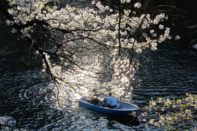Private Tour - History, Art and Nature at the Imperial Palace - The National Museum of Modern Art, Tokyo: the art stop that divides people