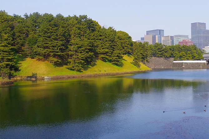 Private Tour - History, Art and Nature at the Imperial Palace - Kitanomaru Park and CAFÉ 33: where the day finally slows down