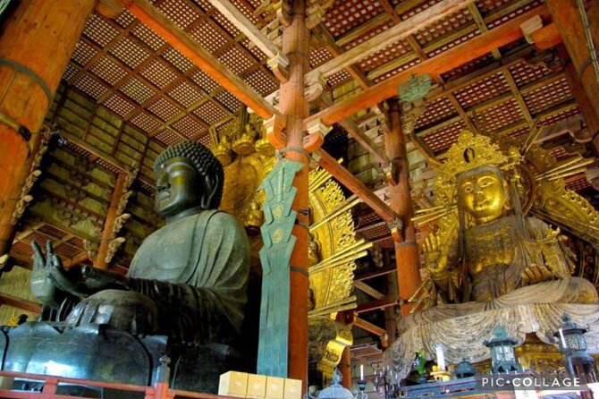 Private Tour Kyoto-Nara w/Hotel Pick Up & Drop off from Kyoto - Transportation details that actually affect your day