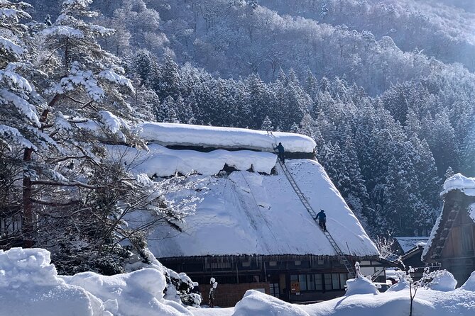 Private Tour of Shirakawago from Kanazawa (Half Day) - Gassho-zukuri Houses and Thatch Roof Details You Should Look For