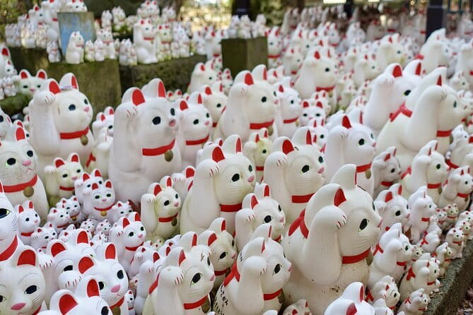 Private Tour - Thousands of lucky cats! Go by tram, Gotokuji Tour - Key things to know before you go