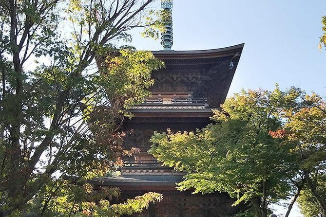 Private Tour - Thousands of lucky cats! Go by tram, Gotokuji Tour - Stop 1: Shoin Shrine and the holy atmosphere