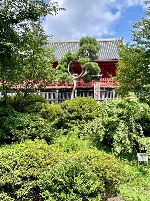 Private Tour Through the Tokyo National Museum & Ukiyo-e - Price and value for a 150-minute private tour