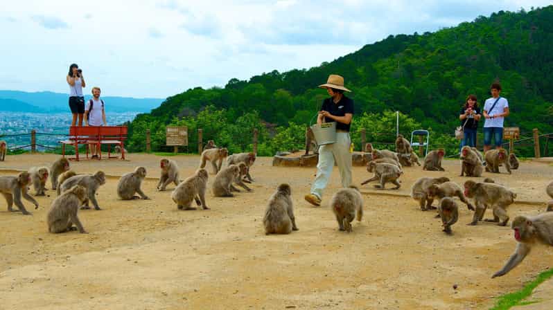 Private Tour to Monkey Park and Arashiyama Highlights - Arashiyama Bamboo Grove: iconic, but go in with eyes open