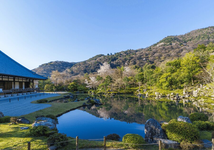 Private Tour to Monkey Park and Arashiyama Highlights - Tenryu-ji Temple: where the calm makes the day make sense