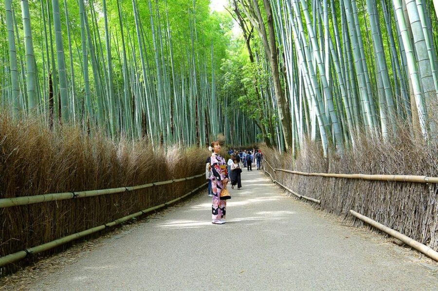 Private Tour to Monkey Park and Arashiyama Highlights - Price and value: how $38 per person works out in real terms