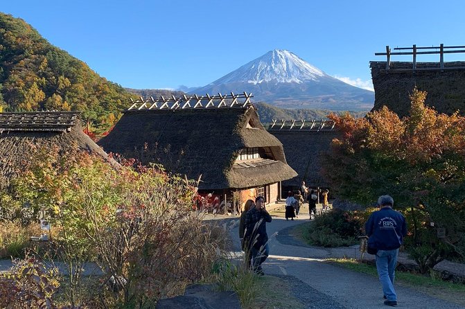 Private Tour to Mt. Fuji and Hakone (Fully Licenced Operator) - Price and group value: paying for comfort, not just locations