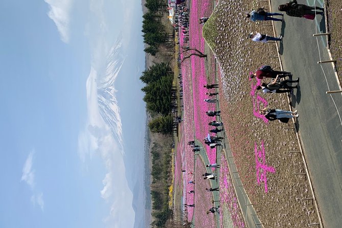 Private Tour to Mt. Fuji and Hakone (Fully Licenced Operator) - Mt. Fuji stop: your first close look