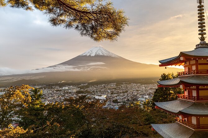 Private Tour to Mt Fuji and Hakone with English Speaking Driver - What makes the guide role matter, beyond getting you from A to B
