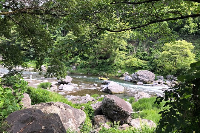 Private Tour: Tokyo's Oldest Sake Brewery and Riverside Walk - Should you book this Tokyo sake day?