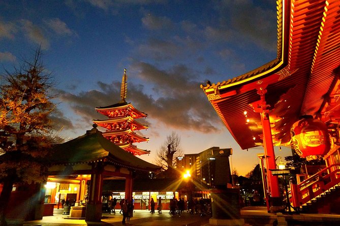 Private tour Tokyo - The Harmony of Modernity and Tradition - Key highlights you actually feel during the day