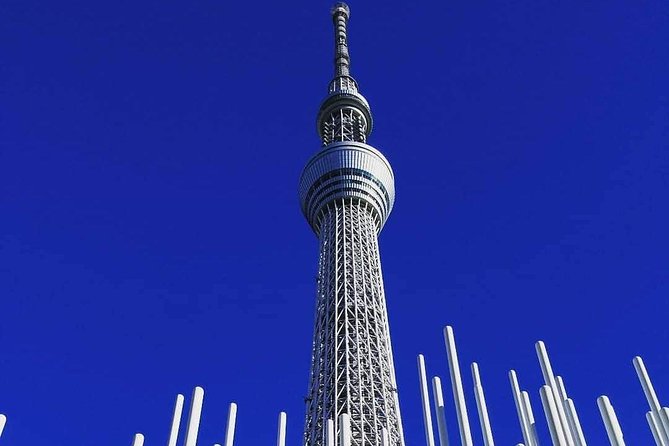 Private tour Tokyo - The Harmony of Modernity and Tradition - A private day that blends Imperial grounds and Shibuya chaos