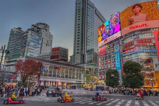 Private Tour with a Local Guide - Learn about daily life in Japan - Key Things to Know Before You Walk Meiji Jingu to Shibuya