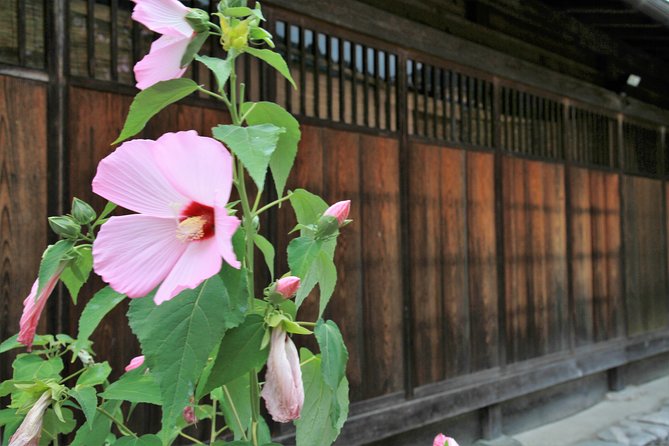 Private transfer Kanazawa to Takayama Including Shirakawago - Shirakawa-go on the ground: what two hours feels like