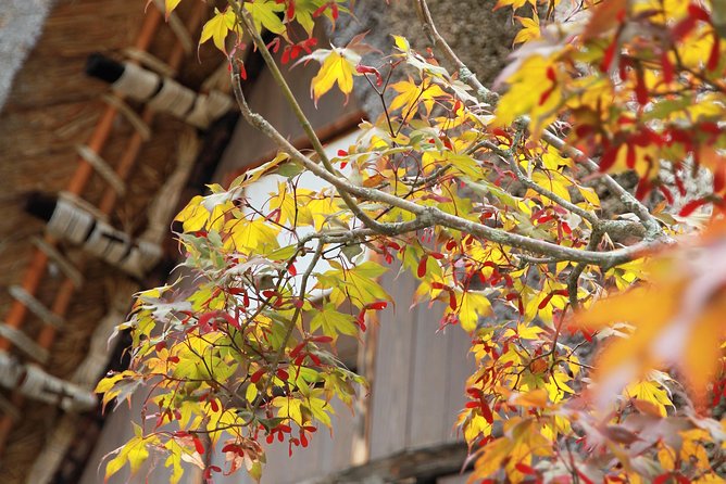 Private transfer Kanazawa to Takayama Including Shirakawago - Price and value: what you are paying for