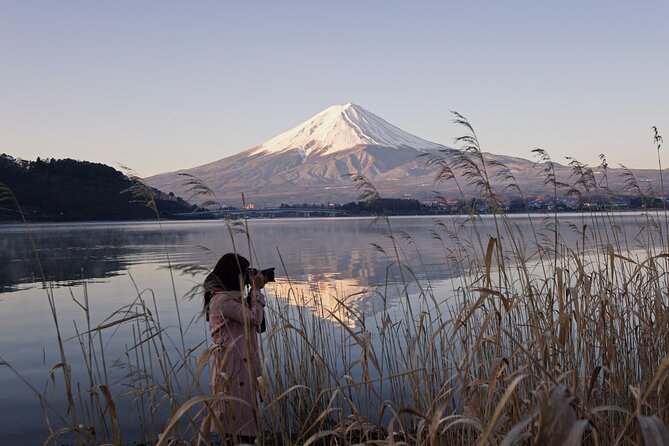 Private Unforgettable Mt Fuji Tour with English Speaking Driver - Private chauffeur, English speaking, and the real meaning of flexibility