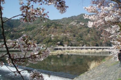 Private Walking Tour in Bamboo Forest & Hidden Spots in Arashiyama