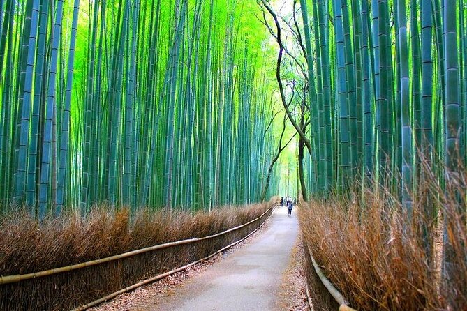 Private Walking Tour in Bamboo Forest & Hidden Spots in Arashiyama - Tenryū-ji Zen garden time, then Togetsukyō’s moon connection