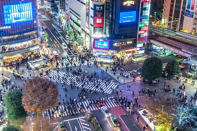 Real Anime Culture Tour in Shibuya: Food, Shopping & Game Fun - Taito Station, Shibuya: the arcade time that feels like a local level-up
