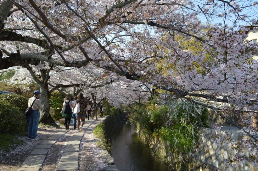Sacred Pathways: Discover the Philosopher's Path of Kyoto - Key highlights worth planning for