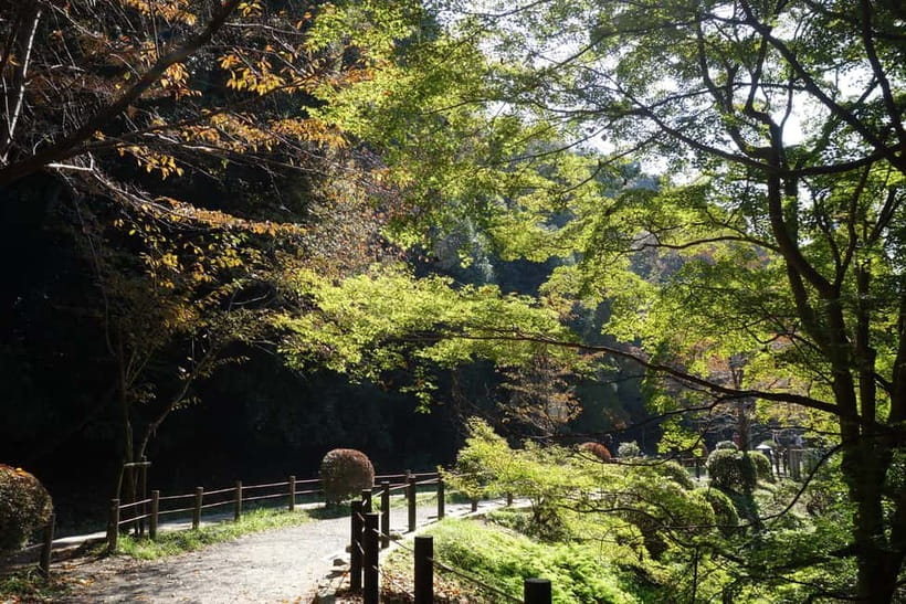 Sacred Pathways: Discover the Philosopher's Path of Kyoto - Your guide experience: local Zen stories that actually land