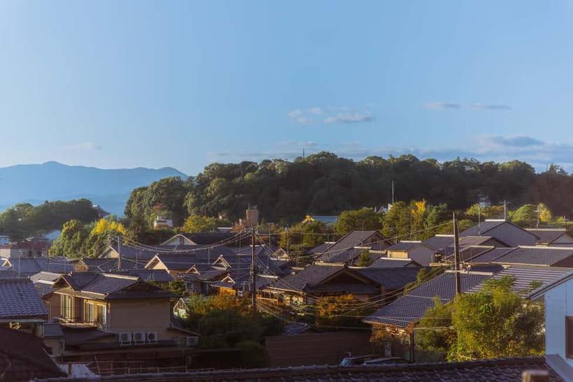 Sacred Pathways: Discover the Philosopher's Path of Kyoto - Cafes, shops, and breaks on the path