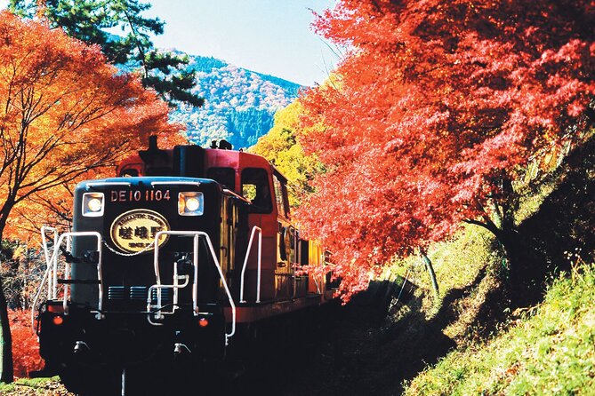 Sagano Romantic Train & Arashiyama, Kiyomizudera, Fushimi Inari Taisha Day Tour - The One-Transport System: How You Avoid Kyoto Navigation Stress
